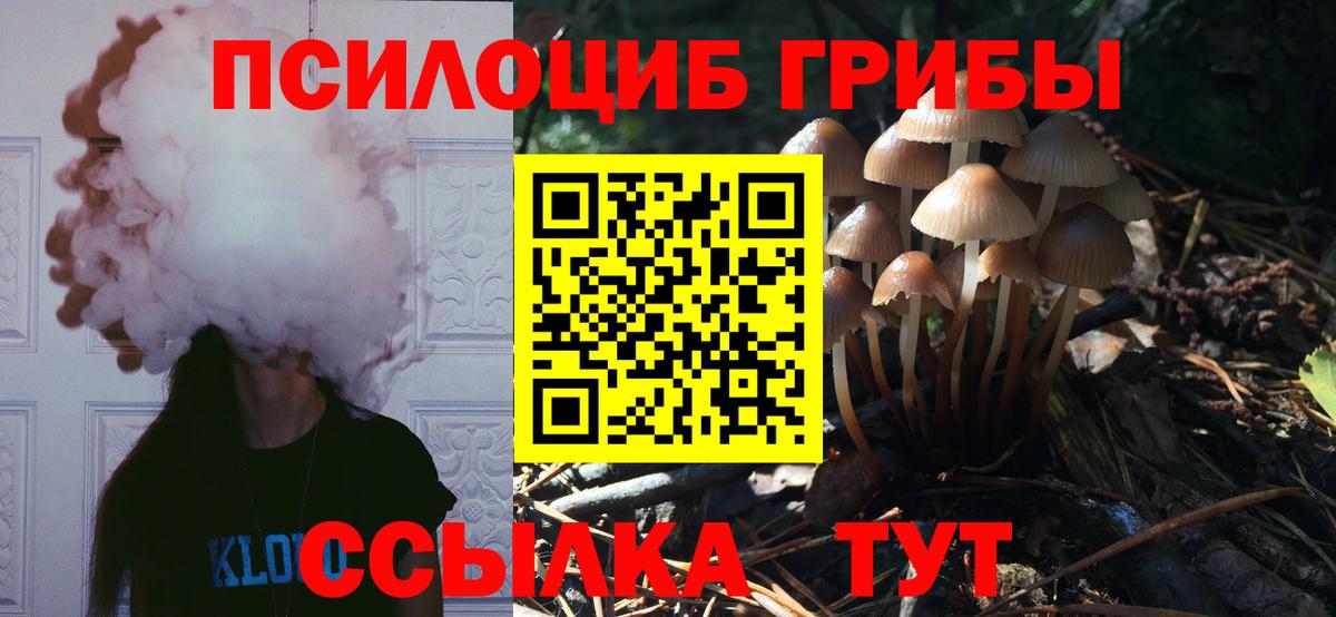 Псилоцибиновые грибы ЛСД Тимашёвск