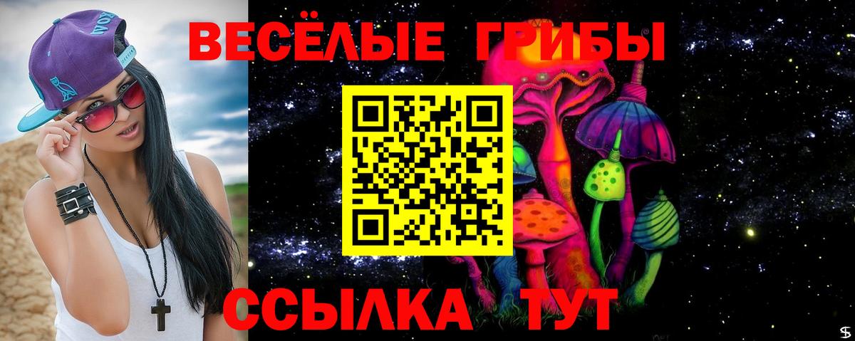 Галлюциногенные грибы Psilocybine cubensis  закладка  Псилоцибиновые грибы мицелий  Тимашёвск  Вход с VPN 